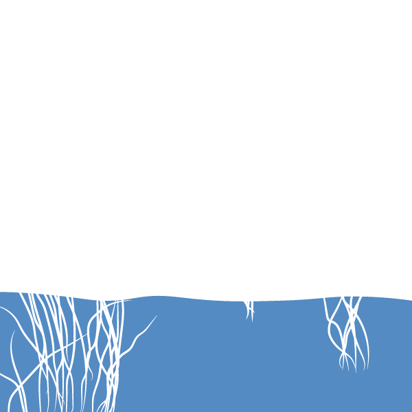 Laichschonbezirke Wismar bis Rostock